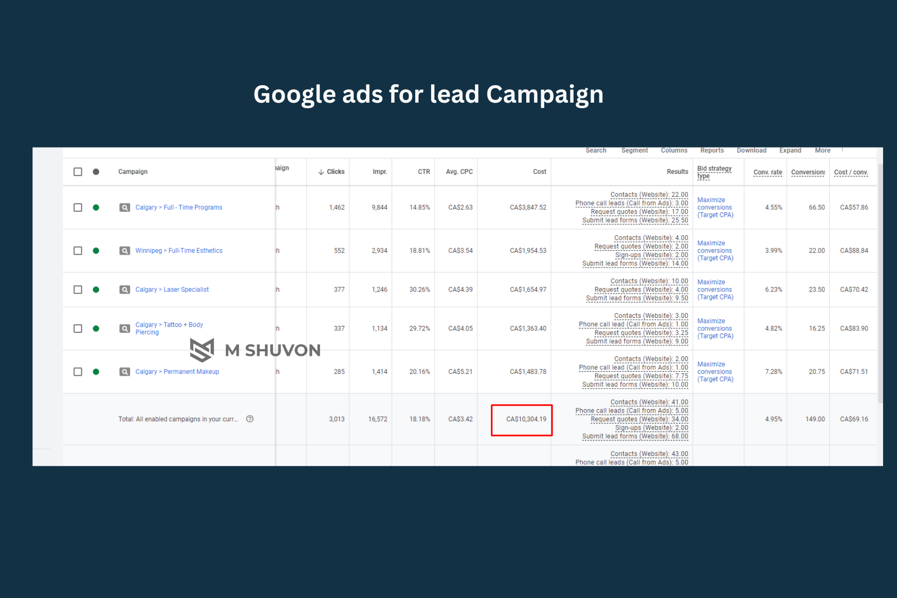 Google Ads campaign dashboard showcasing positive lead generation results with highlighted Conversions and efficient Cost / conv. for various campaigns targeting Canadian businesses.